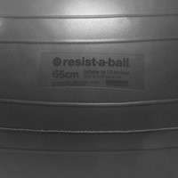Resist-A-Ball® 65cm Silver-2