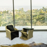Wunda Chair - Baltic Birch Black-3